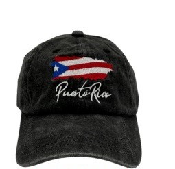 MAPA BANDERA WASH