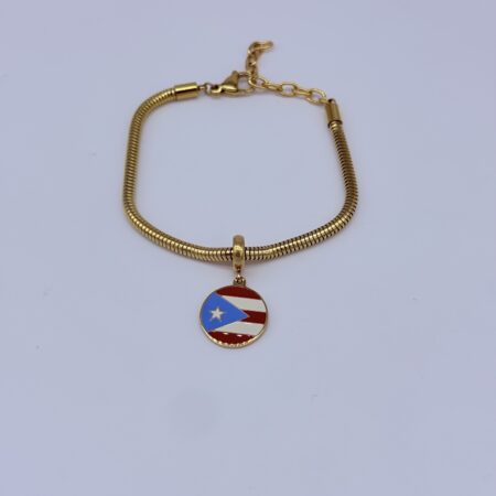 BANDERA CIRCULAR PR